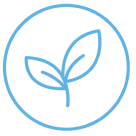 Cliente Preferencial Lifewave A Vitalidade com o Adesivo X39